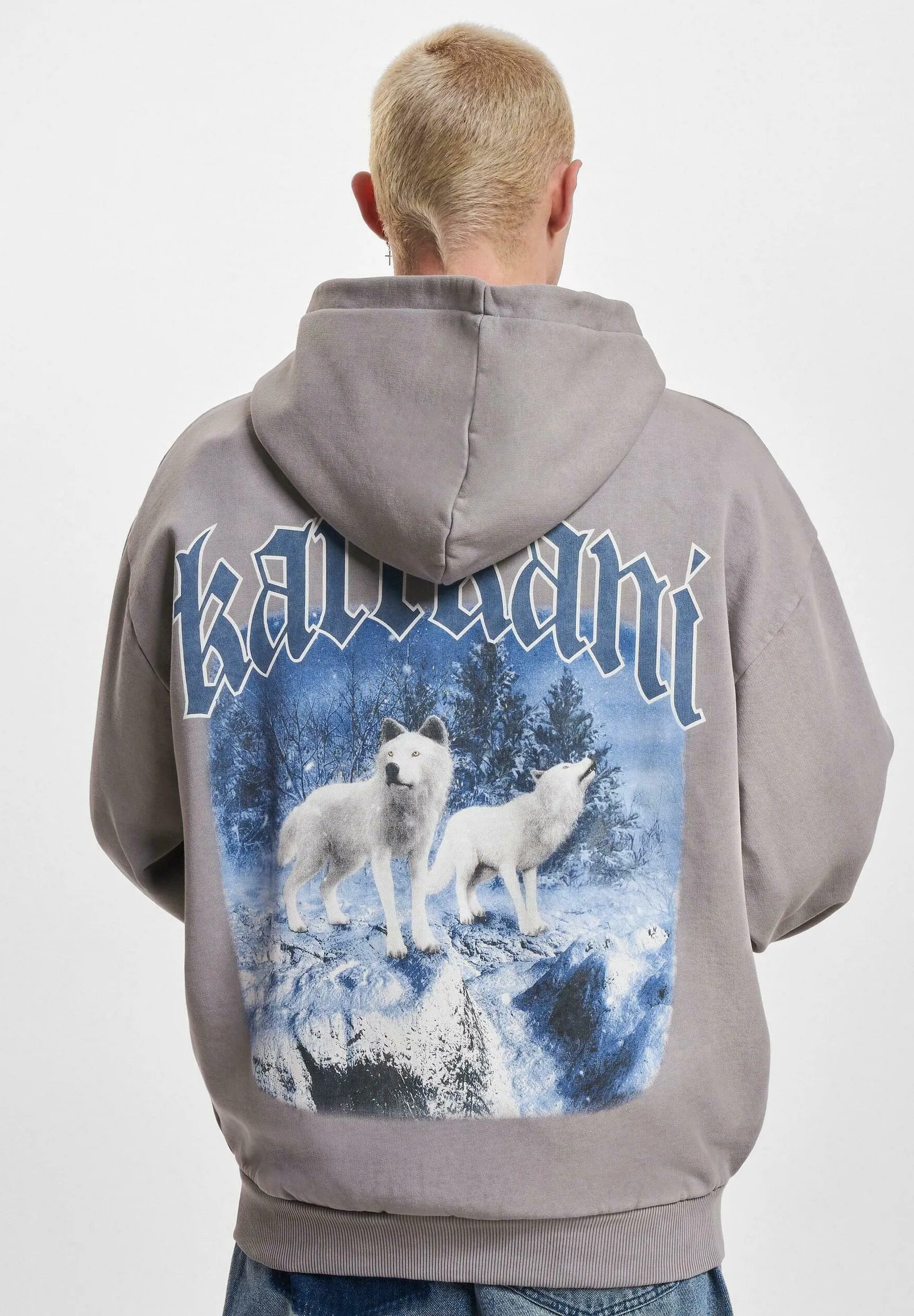 CHEST SIGNATURE OS WASHED HEAVY SWEAT WOLF FULL ZIP - Felpa con zip