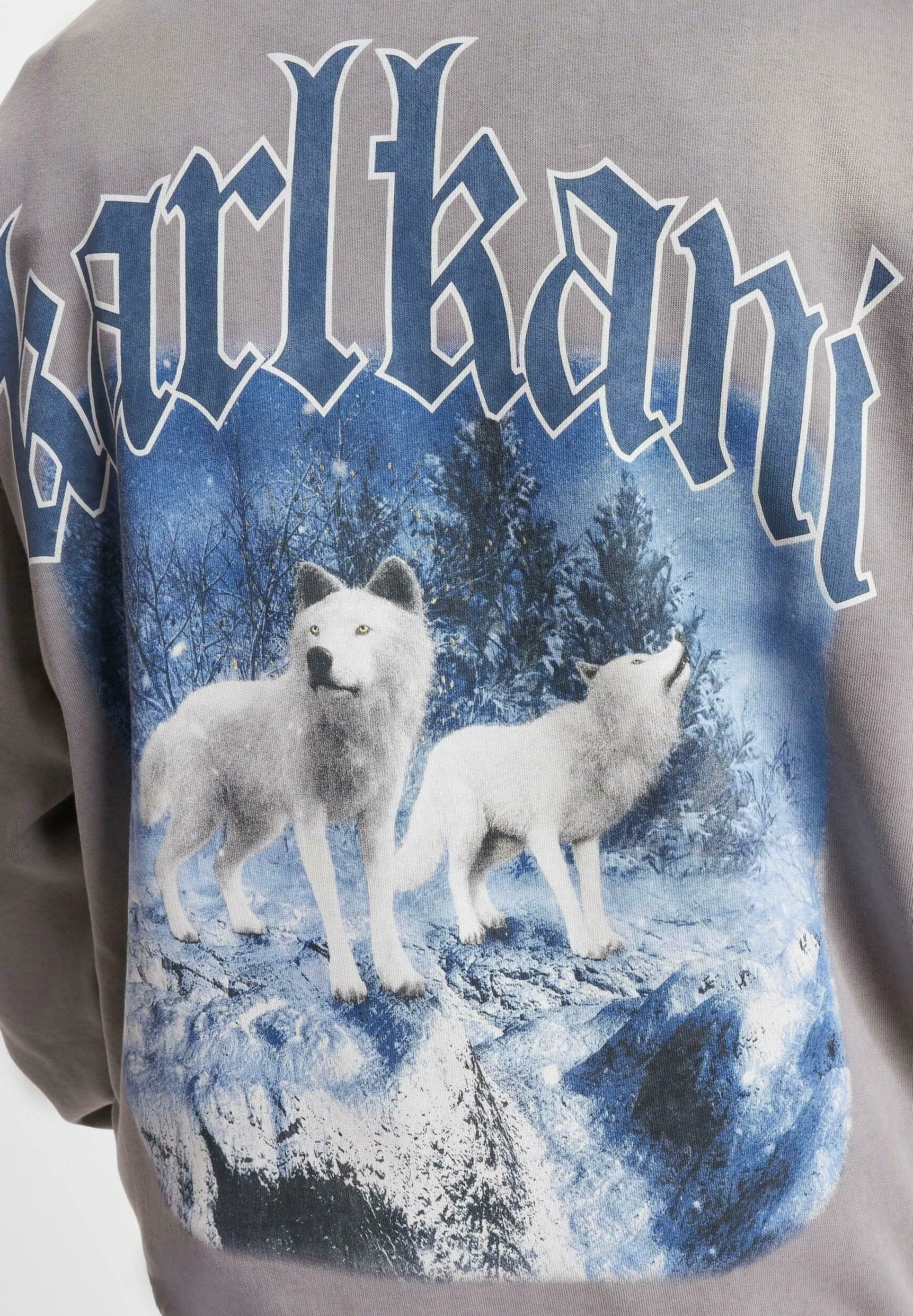 CHEST SIGNATURE OS WASHED HEAVY SWEAT WOLF FULL ZIP - Felpa con zip