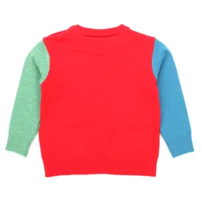 Pullover Multicolor Baby